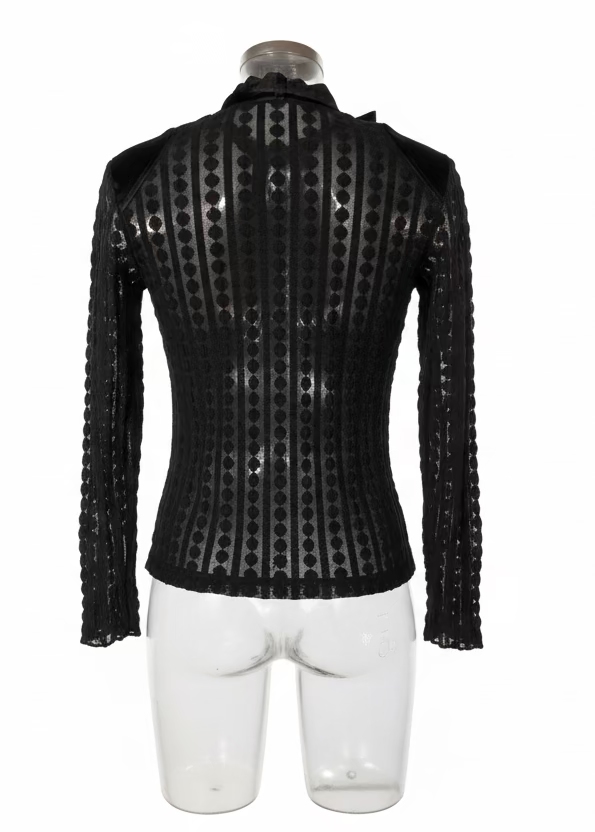 Y2K Taifun sheer zip up top